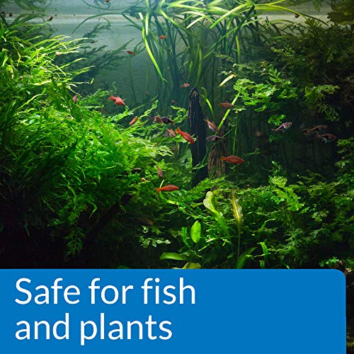 API pH UP Freshwater Aquarium Water pH Raising Solution for fish,4-Ounce Bottle, Brown