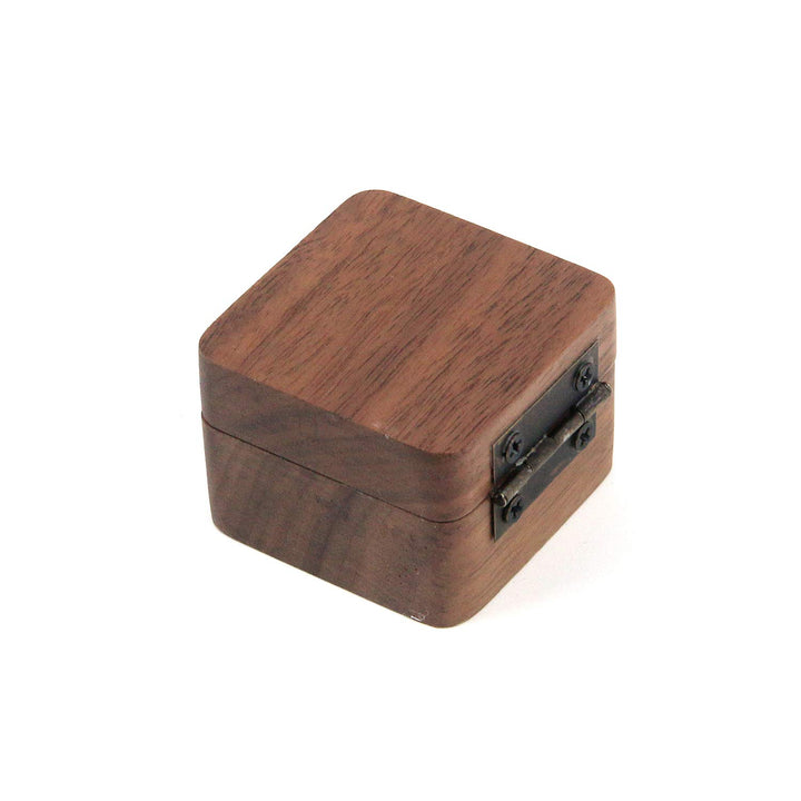 Guitar Pick Box Storage Wooden Guitar Picks Case Holder Organizer for Guitarist Musician Gift, 1 Pcs