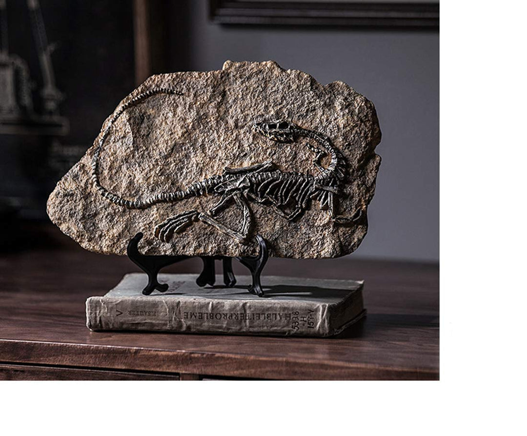 Resin Dinosaur Fossil Statue Model Simulated Skeleton Home Office Display Decorative Craft Box Decoration (Style 1)
