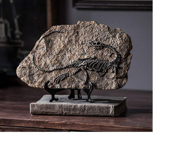 Resin Dinosaur Fossil Statue Model Simulated Skeleton Home Office Display Decorative Craft Box Decoration (Style 1)