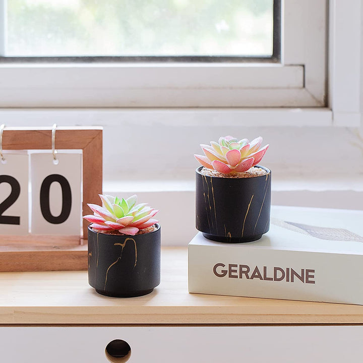 ZENMAG Mini Succulents Plants Artificial, Fake Succulents in Black Ceramic Pots for Desk Livingroom Bathroom and Home Decoration Office Decor for Women Set of 2 Artificial Succulents