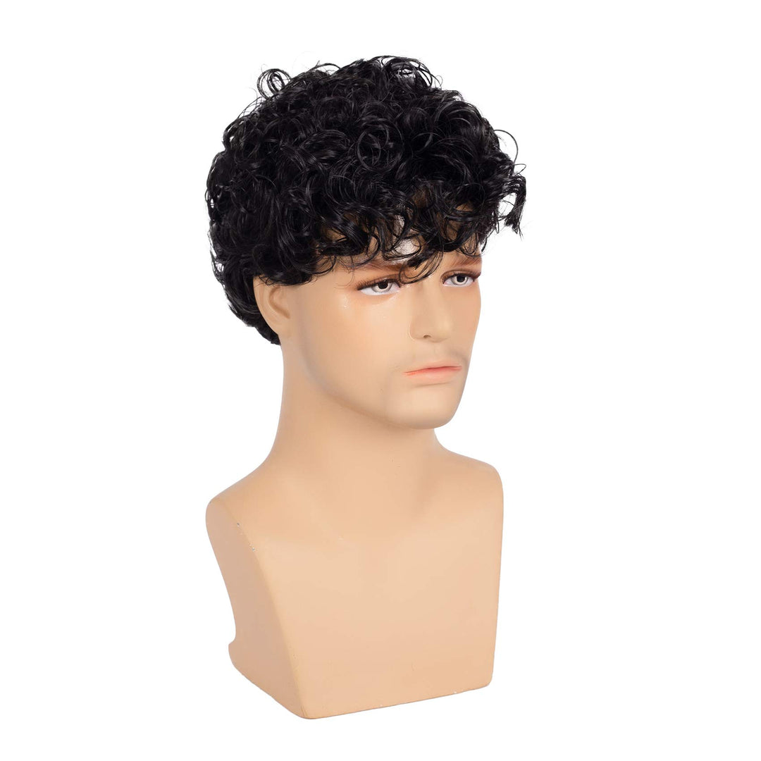 Short Curly Mens Black Wig Fluffy Synthetic Cosplay Halloween Hair Wig for Male Guy