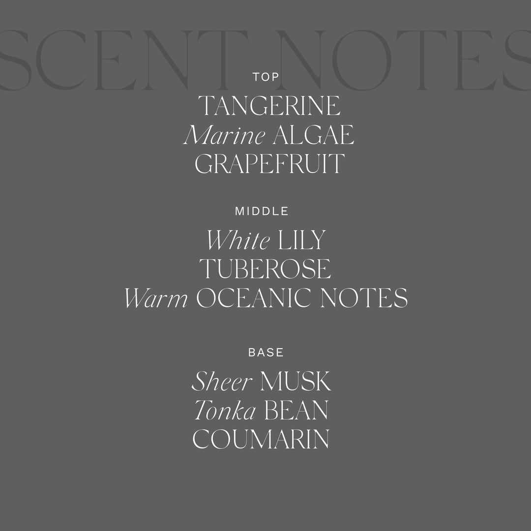 Home Ambiance Diffuser, 8.45 Fl Oz