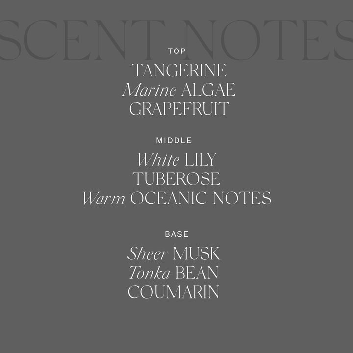 Home Ambiance Diffuser, 8.45 Fl Oz