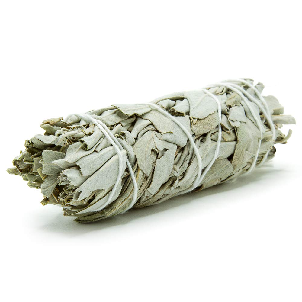 GloFX White Sage Bundle - 1 Pack - 4 Inches Wild Harves