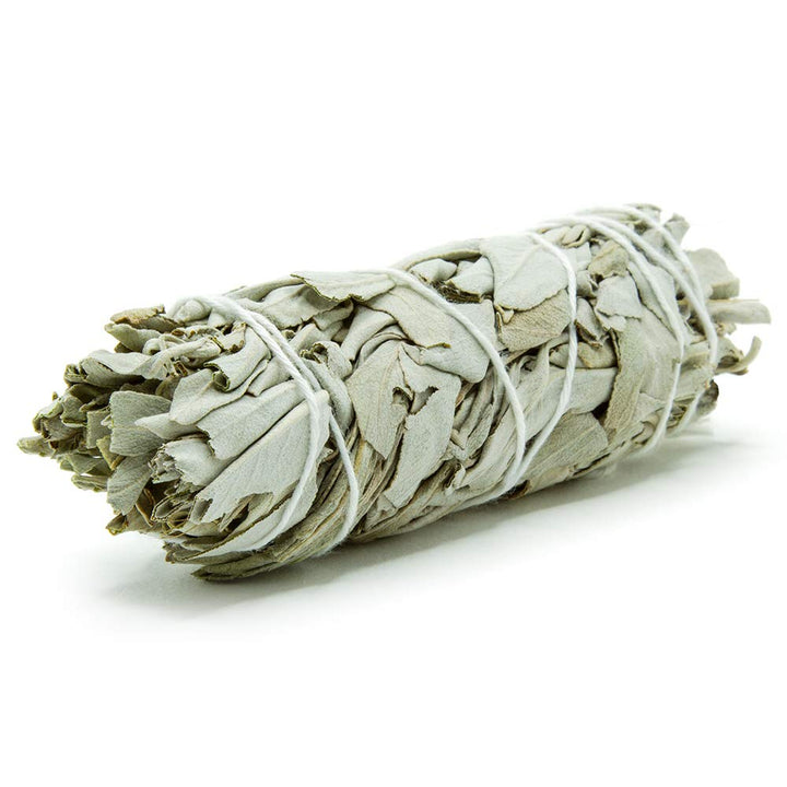 GloFX White Sage Bundle - 1 Pack - 4 Inches Wild Harves