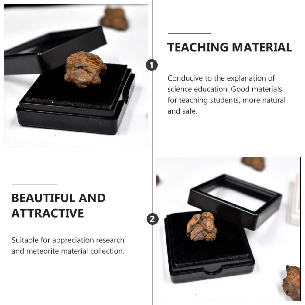 Meteorite Real Space Rock in Treasure Chest Box Display