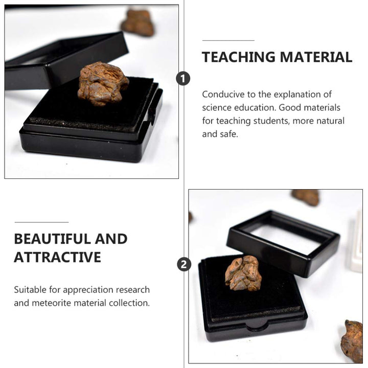 Meteorite Real Space Rock in Treasure Chest Box Display