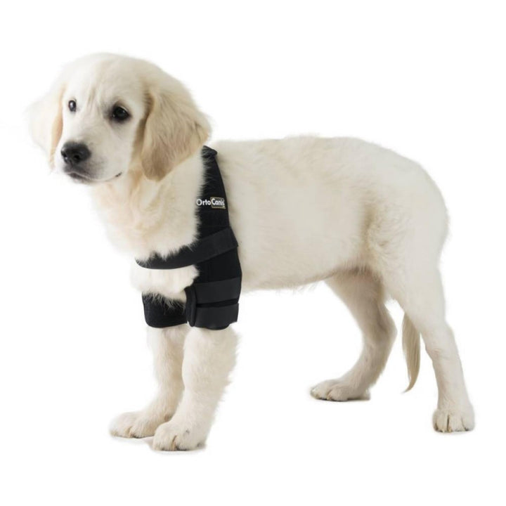 - Elbow Orthosis for Dogs with Elbow Arthritis, Hygromas or Shoulder Dislocation, Size L