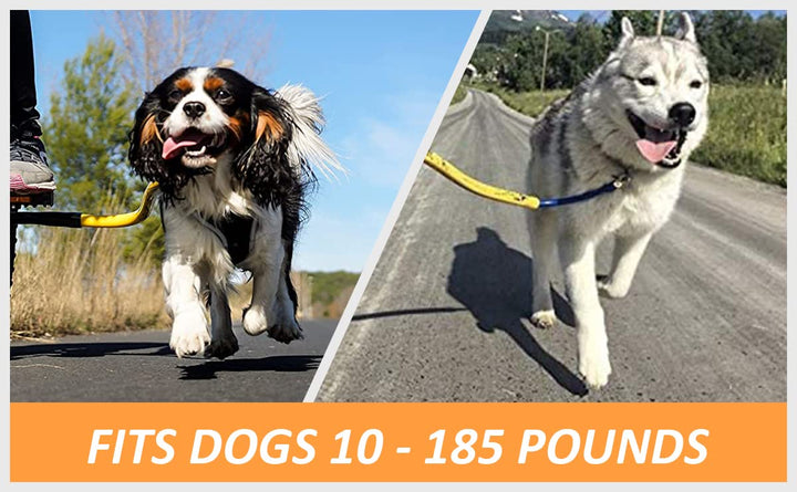 Best Dog Bike Leash - (Yellow)