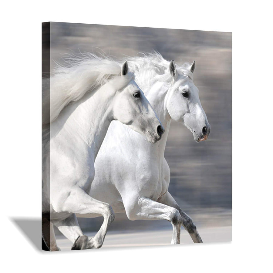 White Horse Picture Wall Art: Running Animal Artwork Painting Print on Wrapped Canvas for Living Room or Office (24'' x 24'')