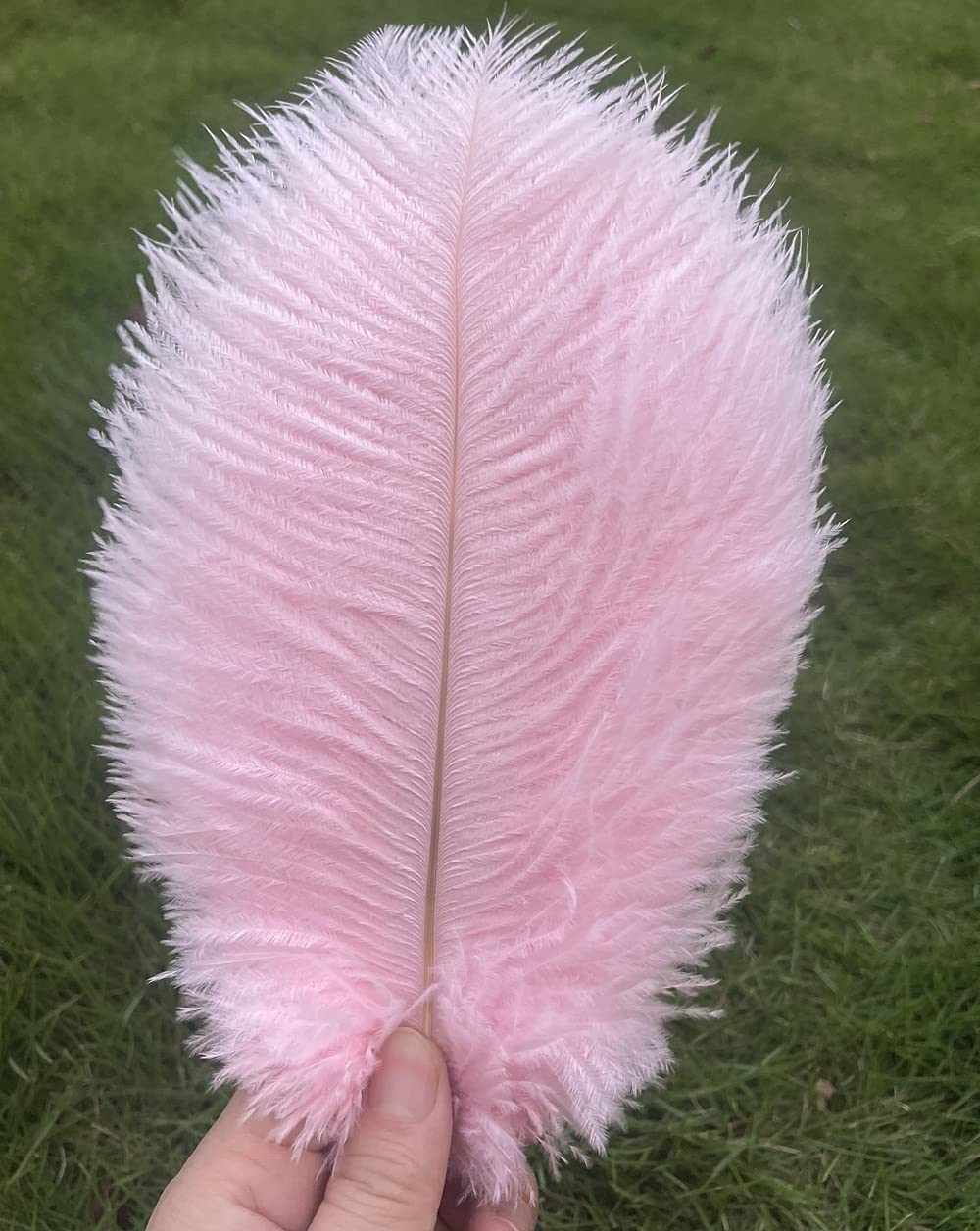 Lampu Ostrich Feathers 8-10 inch/20-25cm for Wedding Centerpieces Home Decoration Pack of 10 (Light Pink)