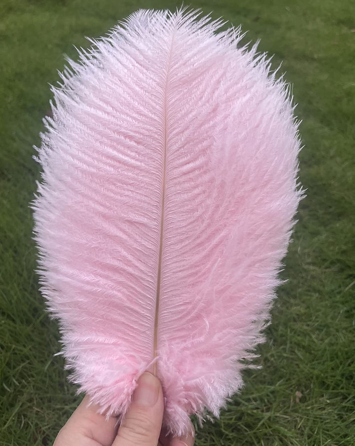 Lampu Ostrich Feathers 8-10 inch/20-25cm for Wedding Centerpieces Home Decoration Pack of 10 (Light Pink)
