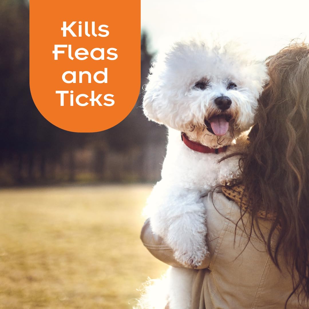 SENTRY Flea and Tick Shampoo for Dogs, Rid Your Dog of Fleas, and Ticks Tropical Breeze, 18 Fl Oz (Pack of 1)