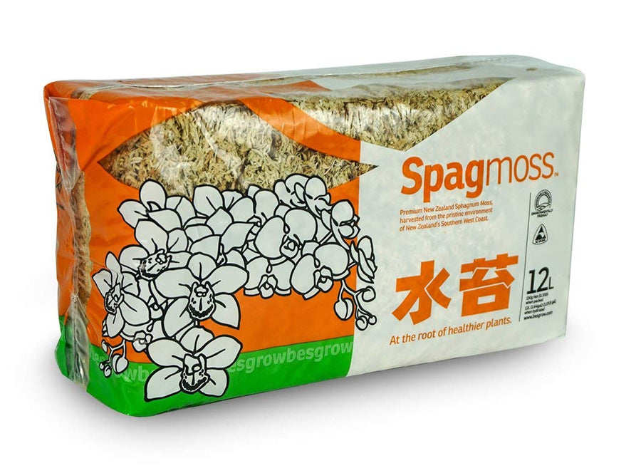 Premium New Zealand Sphagnum Moss, 150g (12L When Hydrated) - Harvested Sustainably from The Pristine West Coast of New Zealand's South Island