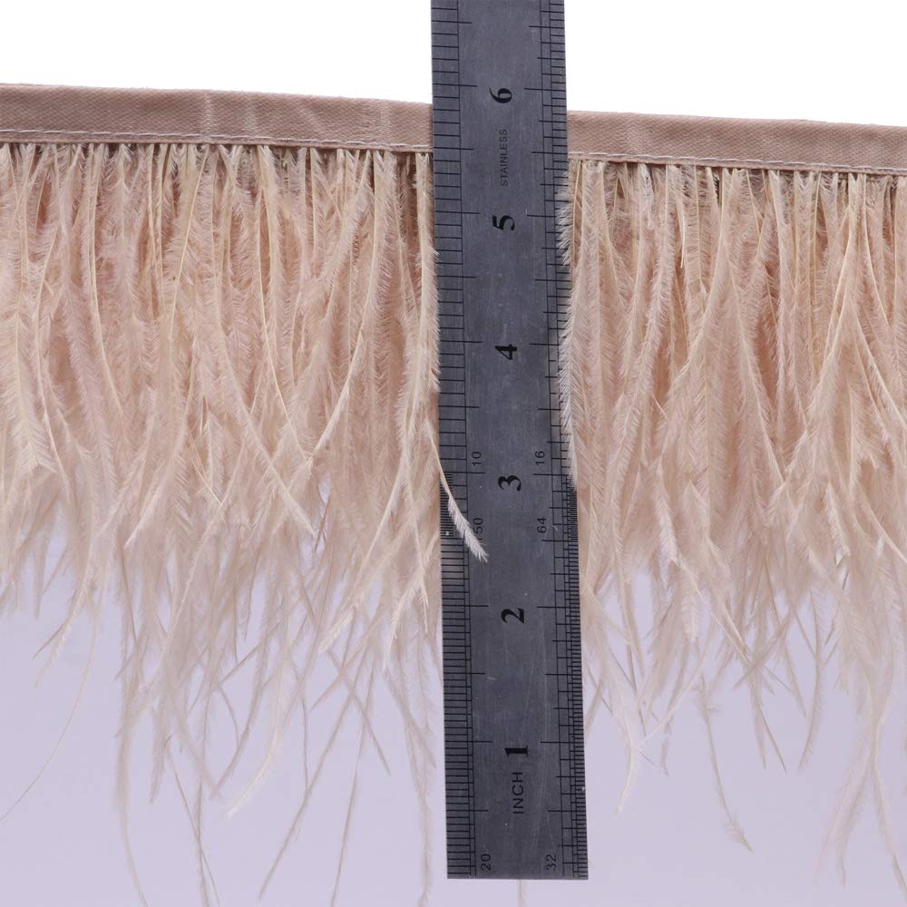 Ostrich Feathers Sewing Fringe Trim Ribbon for Crafts Clothes Accessories Latin Wedding Dress DIY 2 Yards 4-6inch Width (Champagne)