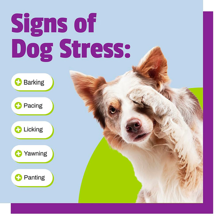 Calming for Dogs, 30 Chews - Naturally Sourced Stress and Anxiety Calming Ingredients for Behavior Support - Vet Recommended