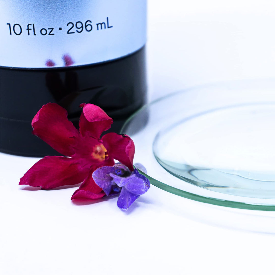 Coconut Noir Body Wash Moisturizing Bath &amp; Shower Cleanser Infused with Plum, Musk, Vanilla &amp; Amber - Cruelty-Free, Paraben-Free - 10 oz