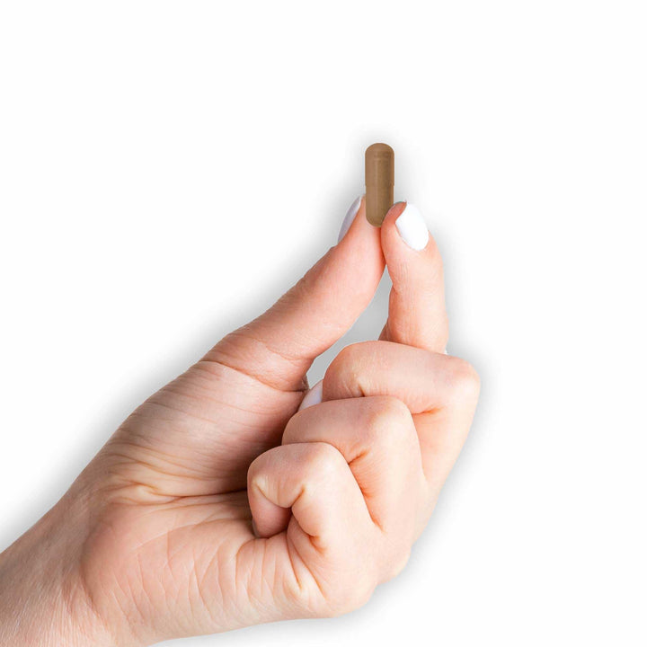 Mason Natural Cinnamon Alpha Lipoic Acid Complex Capsul