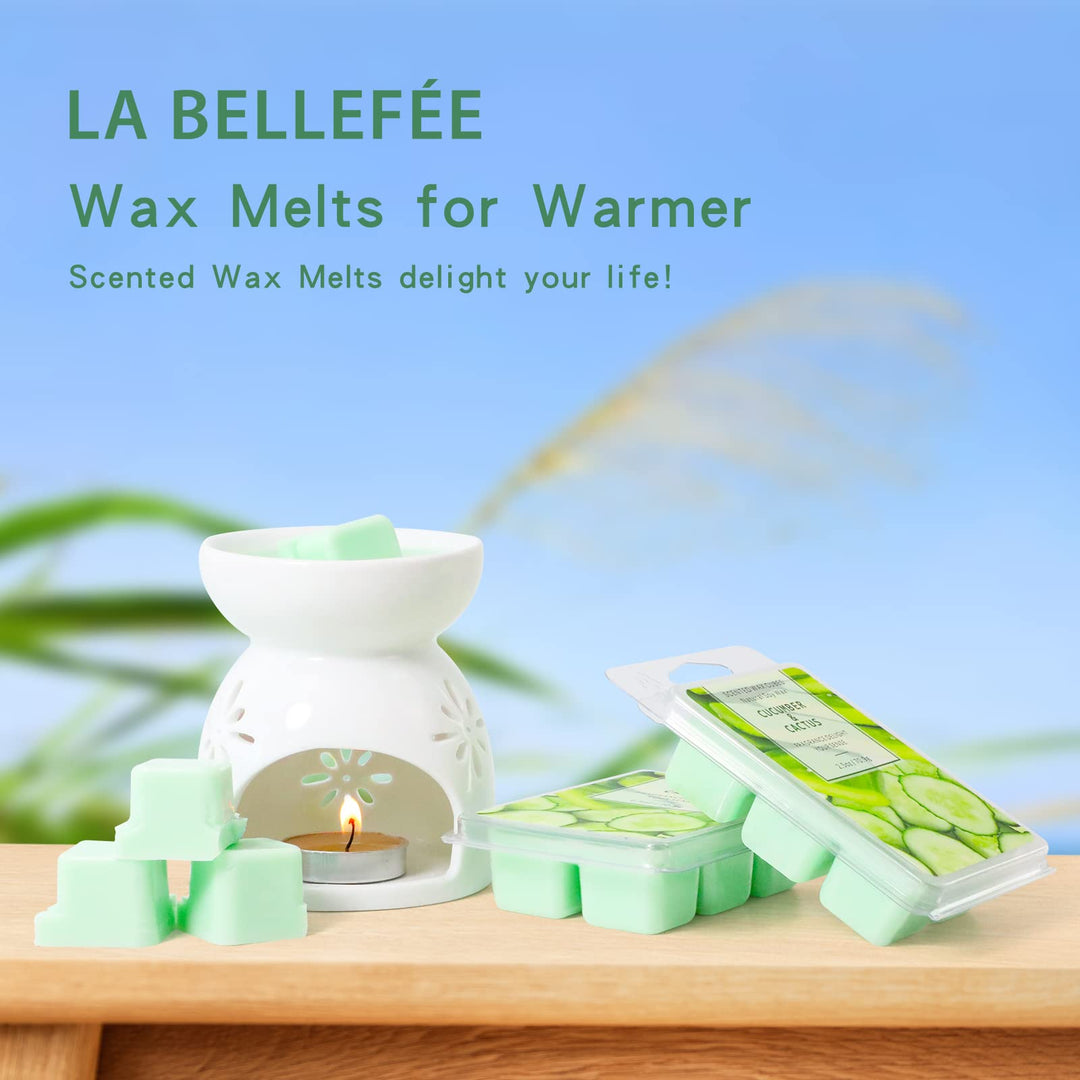 Wax Melts Wax Cubes, Scented Wax Melts Candle Warmer Wax Melts, Natural Soy Wax Melts Wax Cubes for Wax Warmer Set, Cucumber &amp; Cactus Scent Wax Cubes (2.5oz/70.9g*2)
