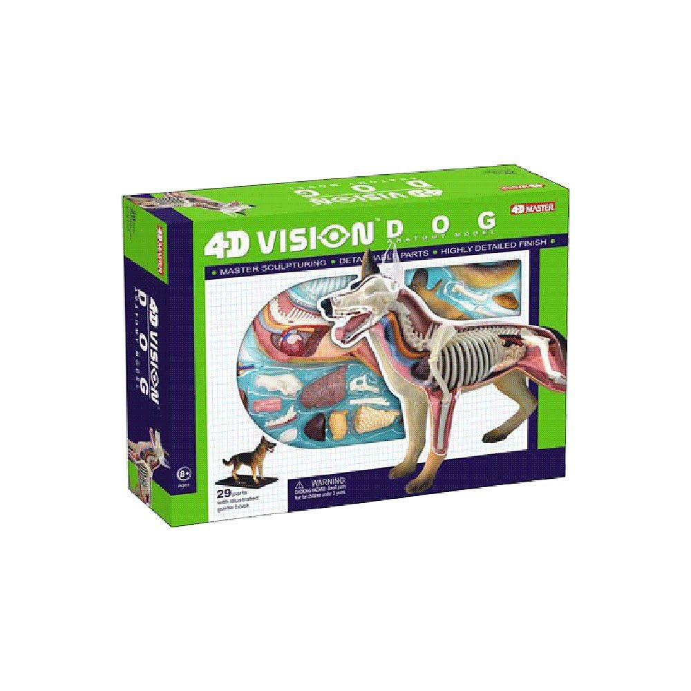 Tedco 4D Vision Dog Anatomy Model