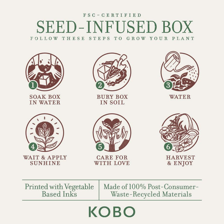 Sweet Sunflower Soy Candle with Plantable Box