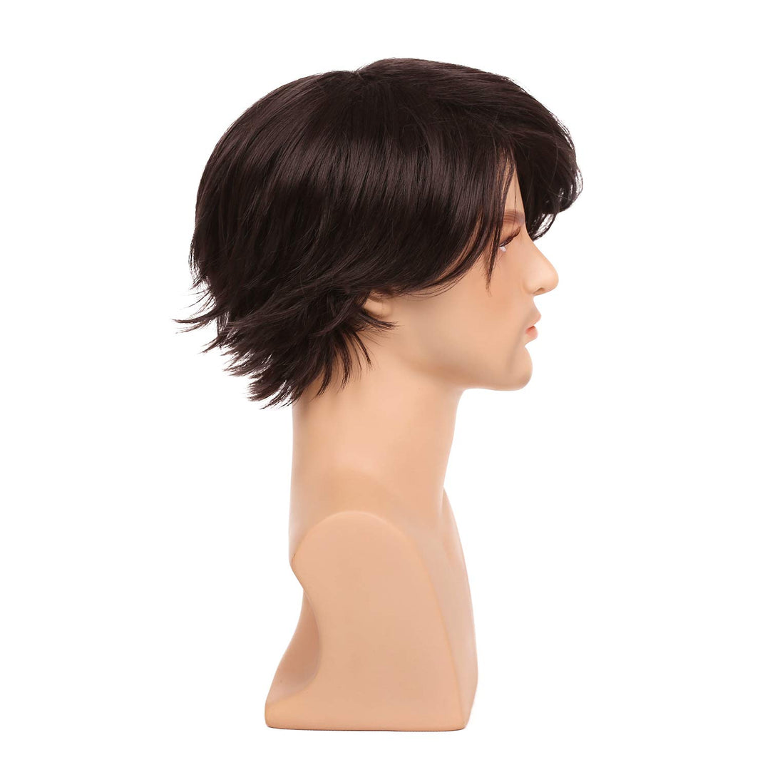 Mens Wigs Short Brown Straight Hair Natural Daily Costume Heat Resistant Synthetic Wigs for Male Buy (Brown Hair)