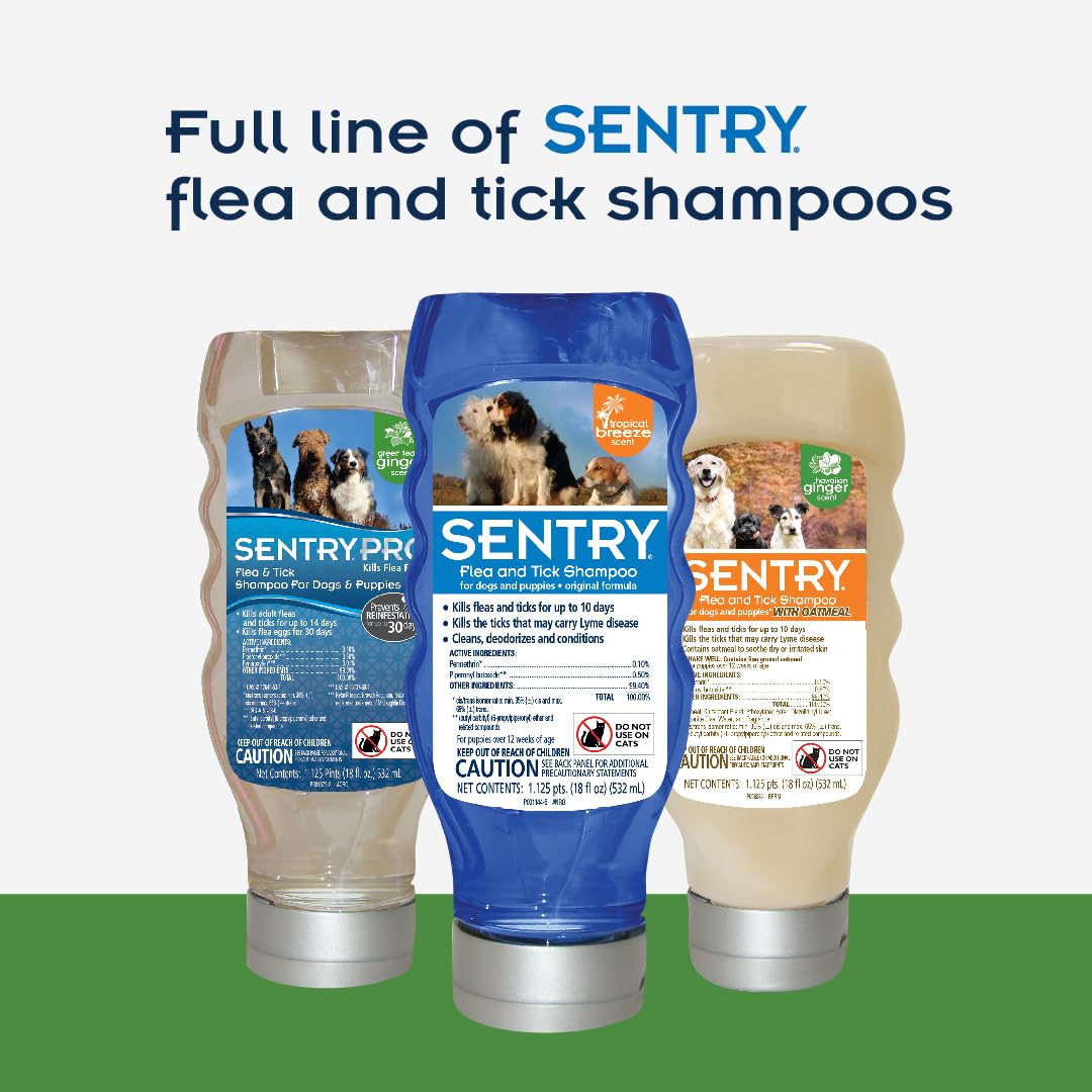 SENTRY Oatmeal Flea and Tick Shampoo for Dogs, Rid Your Dog of Fleas, Ticks, and Other Pests, Hawaiian Ginger Scent, 18 oz
