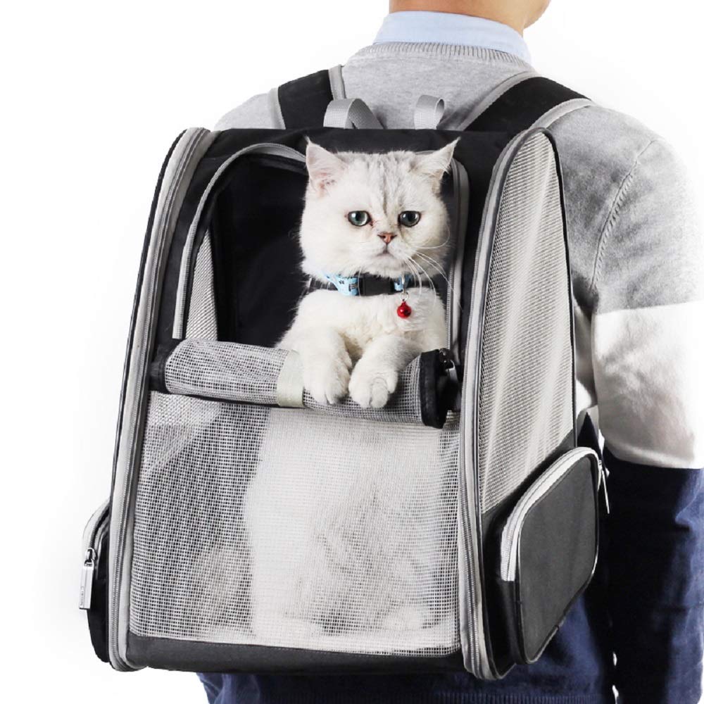 Innovative Traveler Bubble Backpack Pet Carriers for Cats and Dogs (Black)