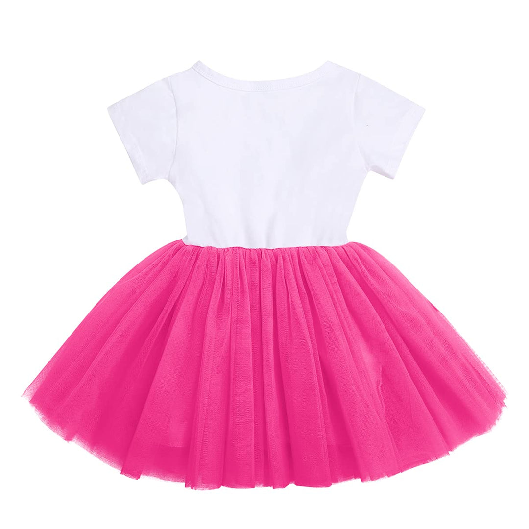 Baby Girls Newborn It&#39;s My 1st/2nd/3rd Birthday Cake Smash Shinny Printed Sequin Bow Tutu Princess Dress Hot Pink(3 Years) 3Y