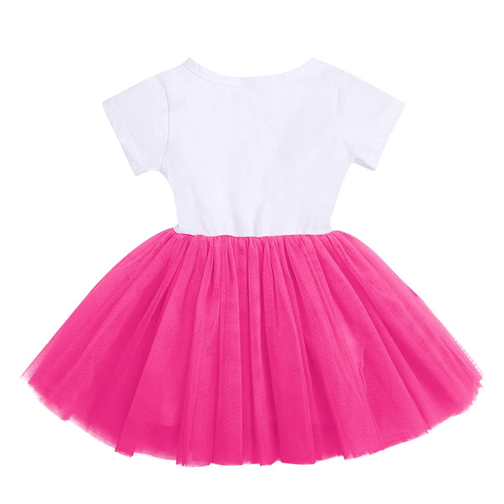 Baby Girls Newborn It&#39;s My 1st/2nd/3rd Birthday Cake Smash Shinny Printed Sequin Bow Tutu Princess Dress Hot Pink(3 Years) 3Y