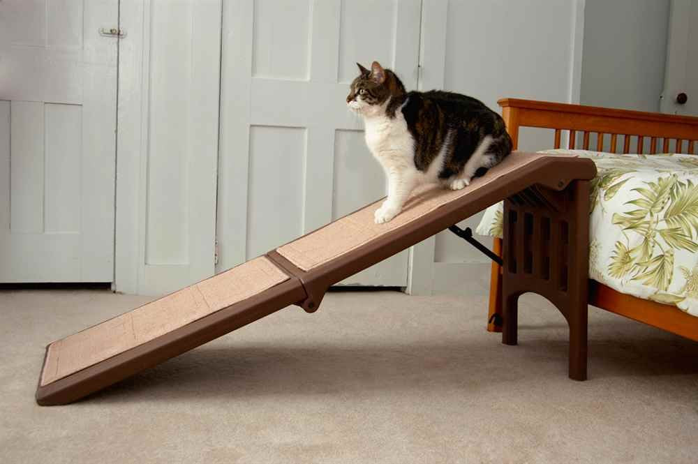 Free Standing Pet Ramp for Cats and Dogs, No Assembly Required, Easy Fold for Storage or Travel, Portable, Available in 6 Models