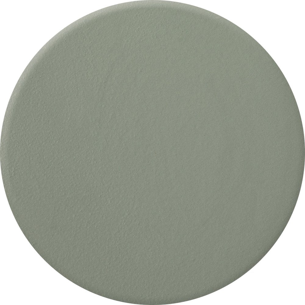 Nail Polish .5 oz Sage #781