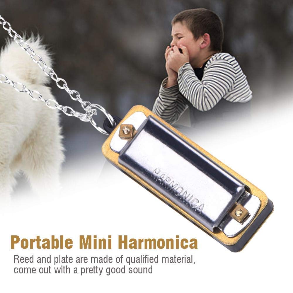 Mini Harmonica, Portable C 4 Holes 8 Tones Harmonica Mouth Organ with Necklace Key for Kids Kids Adults(Silver)