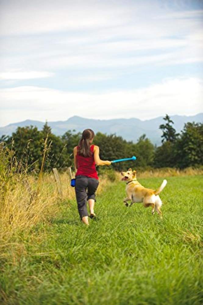 The Whistler Ball Dog Toy, Large (3 Inch Diameter) for Dogs 60-100 lbs, Pack of 1