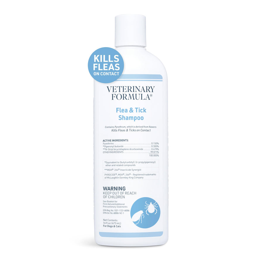 Flea and Tick Shampoo for Dogs and Cats, 16 oz
