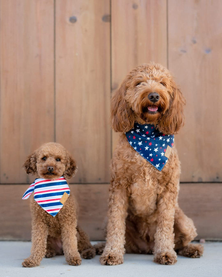 Dog Bandanas - 2 Pack | Stars+Stripes Set | Premium Durable Fabric | Unique Shape | Adjustable Fit | Multiple Sizes Offered | (Large)