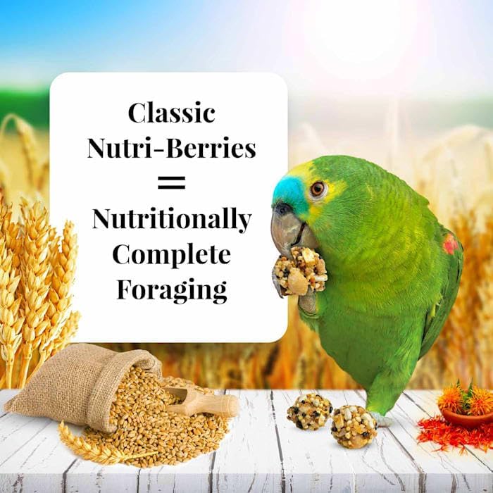 LAFEBER&#39;S Classic Nutri-Berries Pet Bird Food, Made with Non-GMO and Human-Grade Ingredients, for Parrots, 3.25 lb