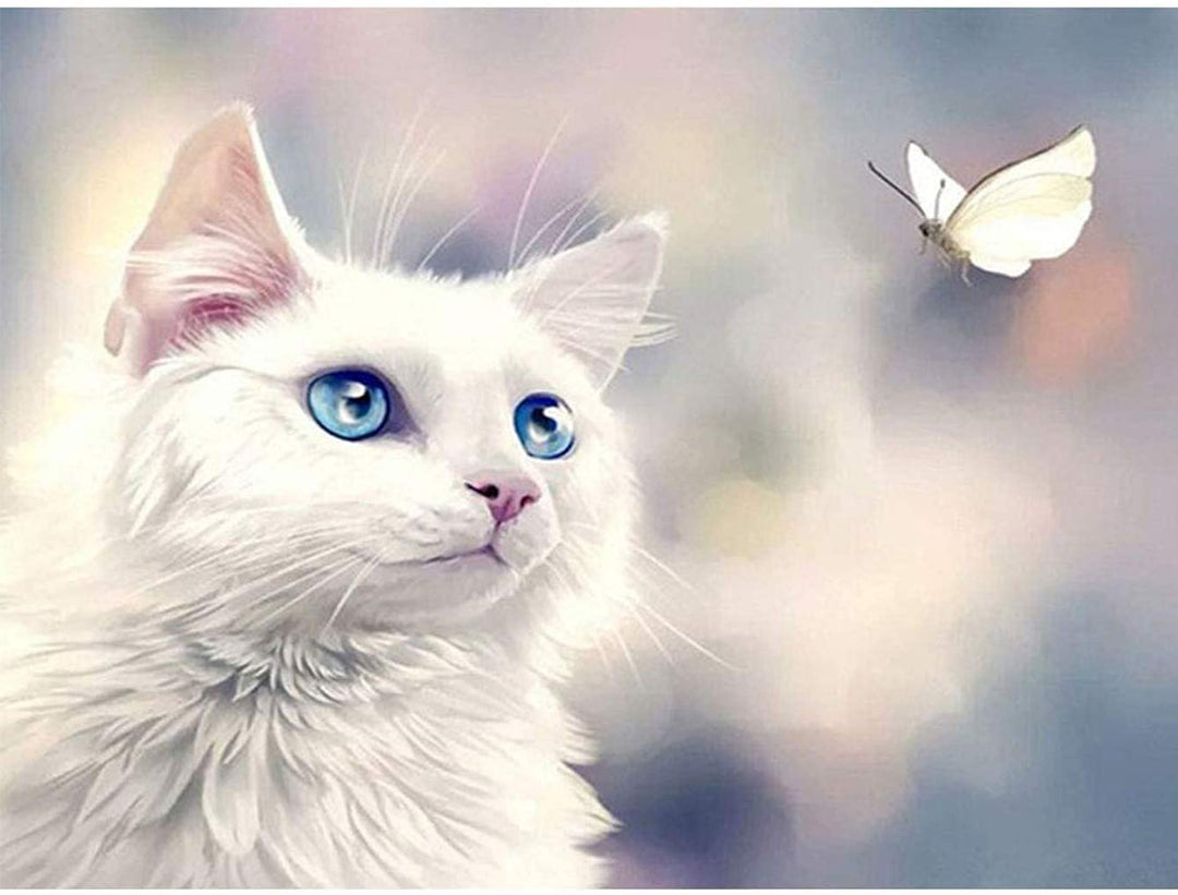 Diamntrum DIY 5D Diamond Painting Kits Kitten, Diamond Painting by Numbers White Cat, Crystal Rhinestone Embroidery Pictures Arts Kits Diamond Painting Kits for Gift Home Wall Decor 12x16 Inch