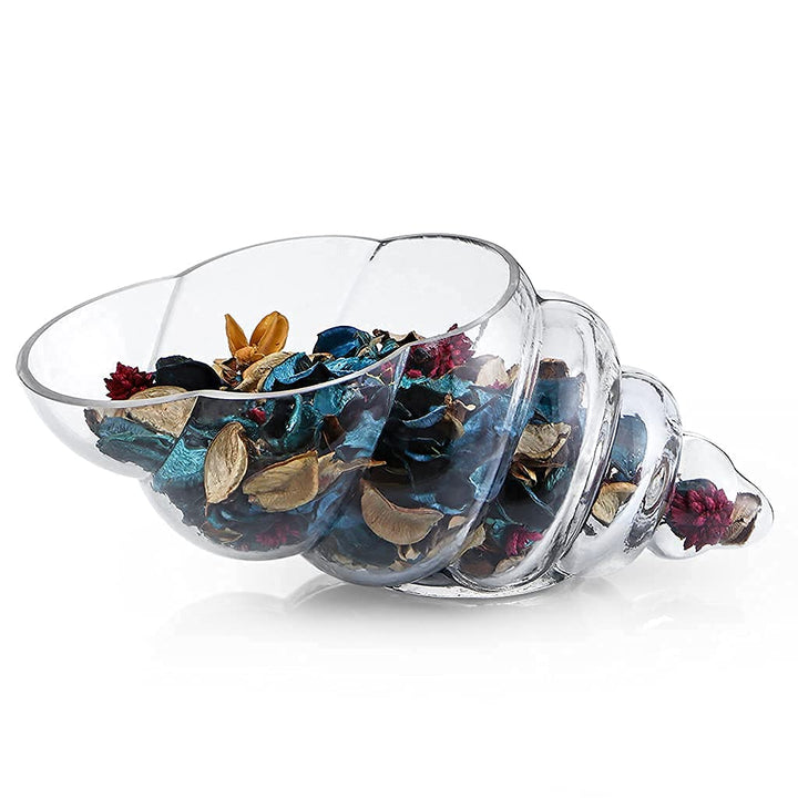 Glass Shell Vase, 11-Inch Seashell Potpourri Holder, Large Decorative Conch Bowl for Shell Collection Display, Sea Glass, Air Plant