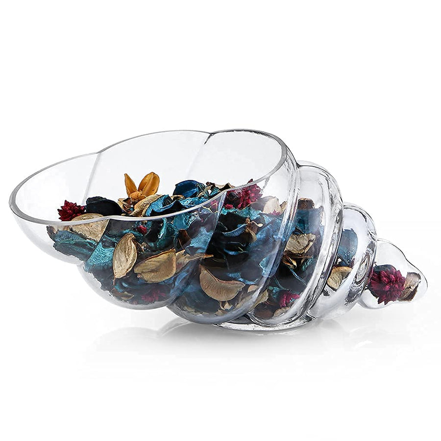 Glass Shell Vase, 11-Inch Seashell Potpourri Holder, Large Decorative Conch Bowl for Shell Collection Display, Sea Glass, Air Plant