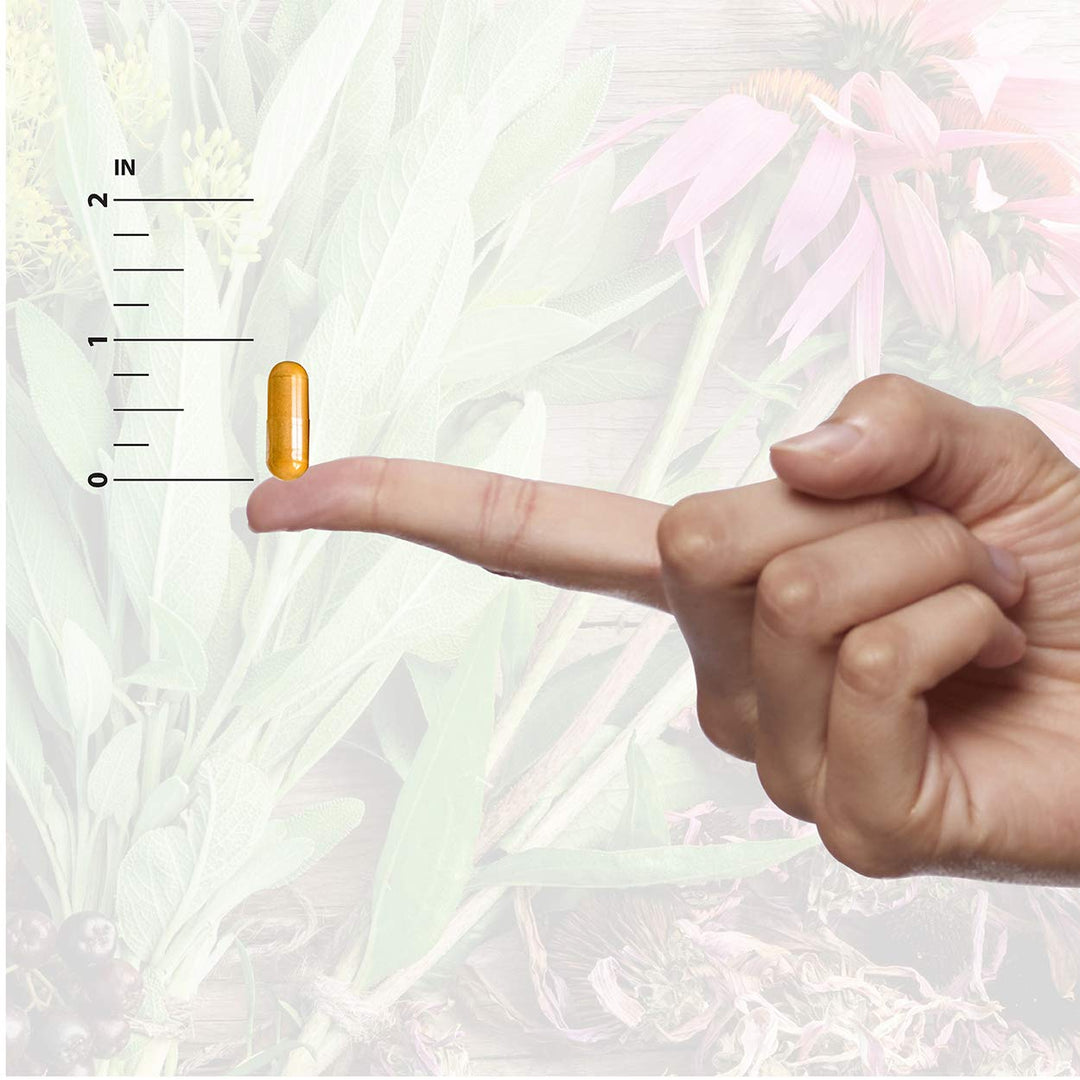 Nature&#39;s Answer Goldenseal Root Vegetarian Capsules 50-Count 50 Count AD