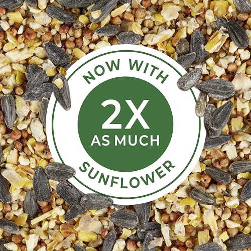 Wild Bird Food Basic Seed Blend, 5 lb