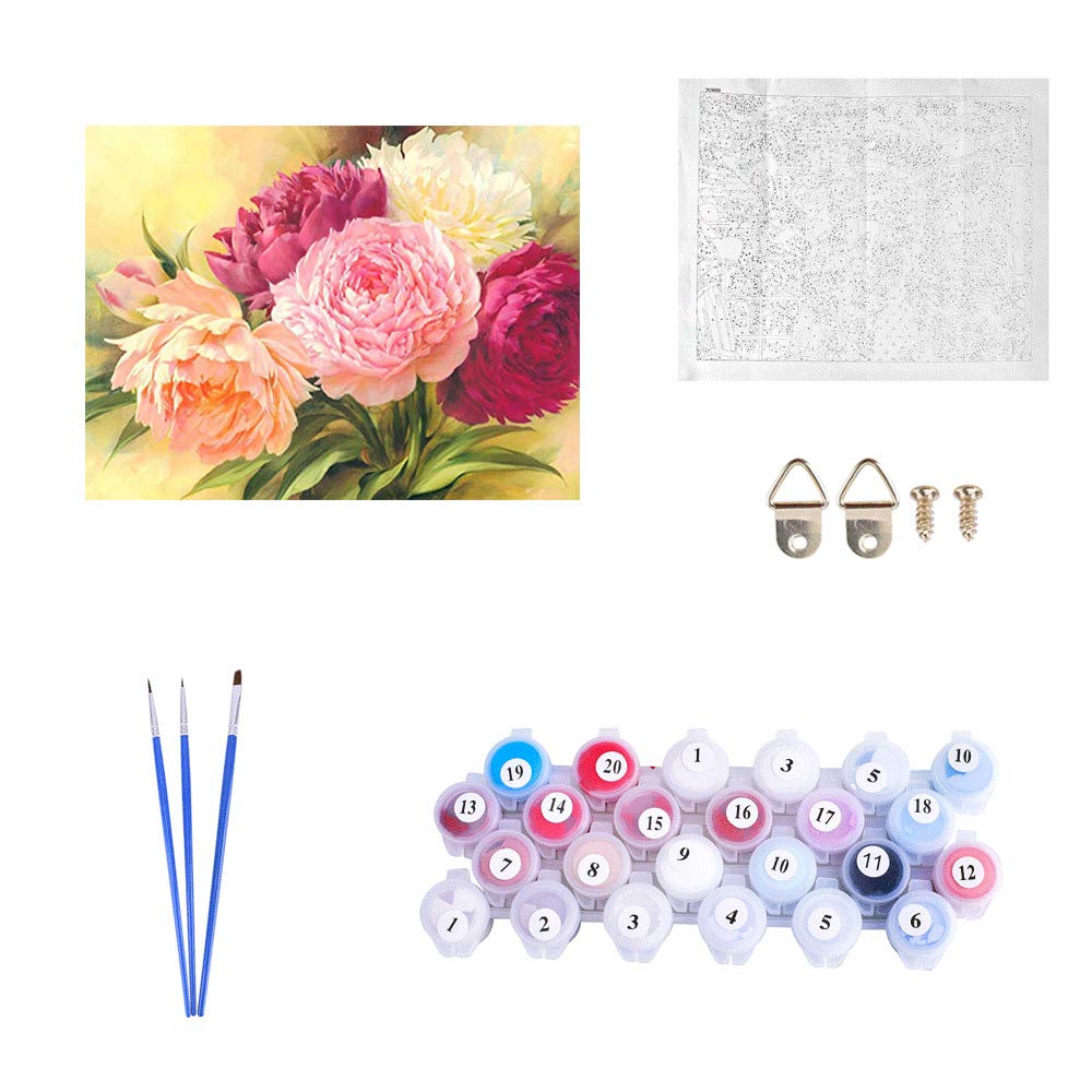 Kimily DIY Paint by Numbers for Adults Kids Flower Peon
