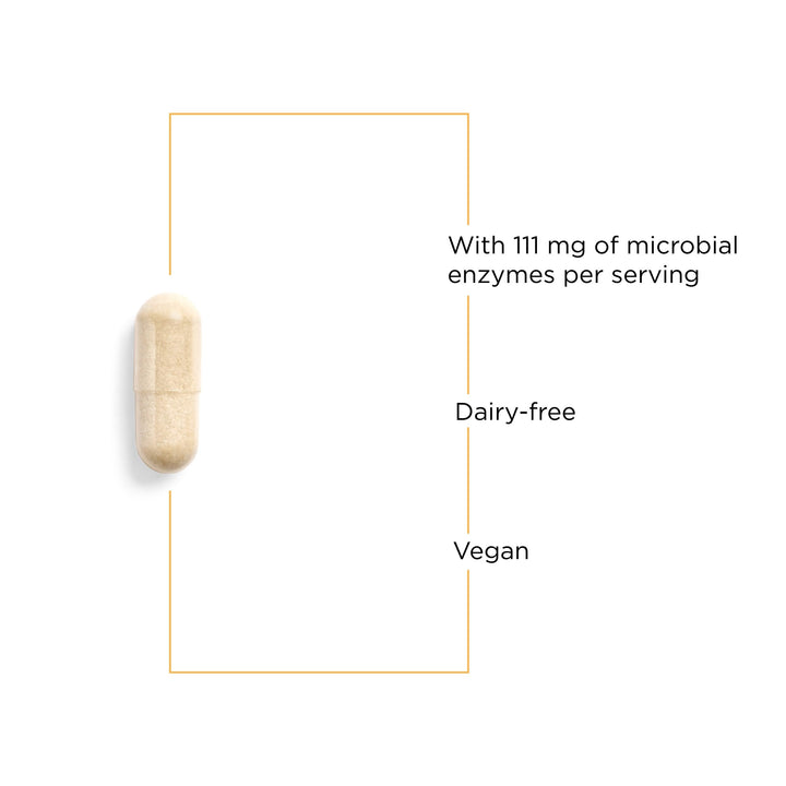 Lipase Concentrate-HP-Gut Enzyme Supplement for Men and Women to Support The Digestion of Fats* - 90 Vegan Capsules