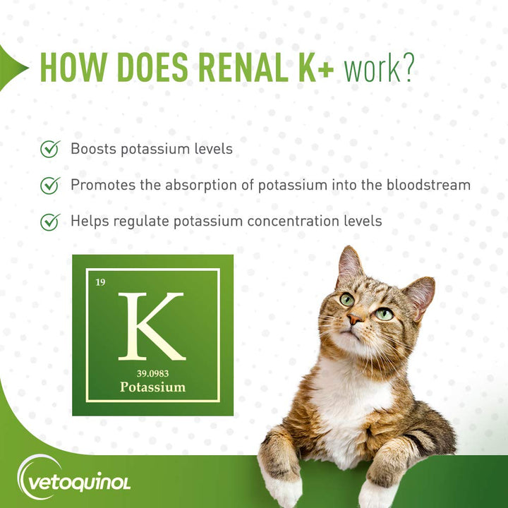 Renal K+ (Potassium Gluconate) Potassium Supplement Gel for Dogs and Cats, 5oz