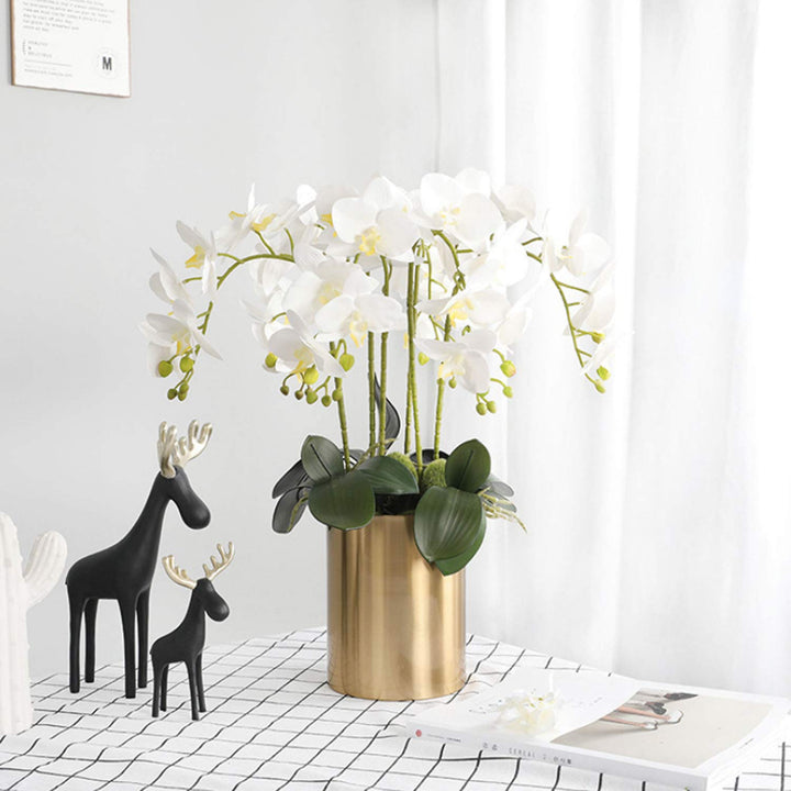 6 Pcs Artificial Phalaenopsis Flowers with 2 Bundles Leaves Artificial Orchid Flowers Stem Plants for Home Décor