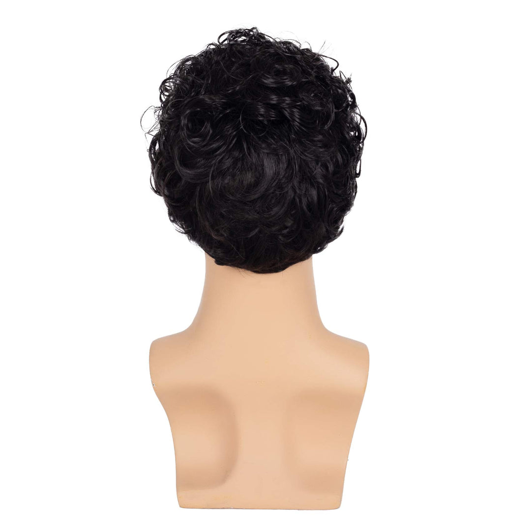 Short Curly Mens Black Wig Fluffy Synthetic Cosplay Halloween Hair Wig for Male Guy