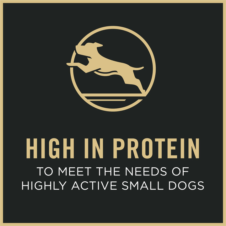 High Protein Small Breed Dog Food, Chicken &amp; Rice Formula - 6 lb. Bag