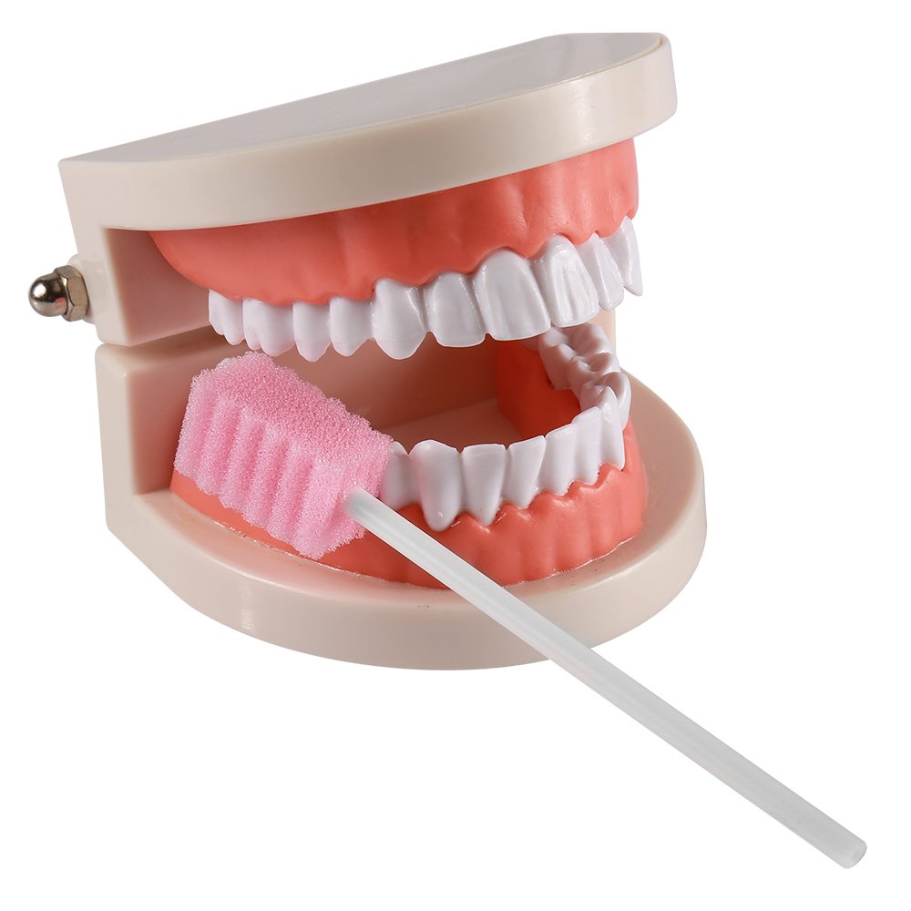 Disposable Oral Care Sponge Swabs(50pcs Pink)